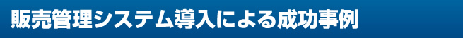 販売システム導入による成功事例